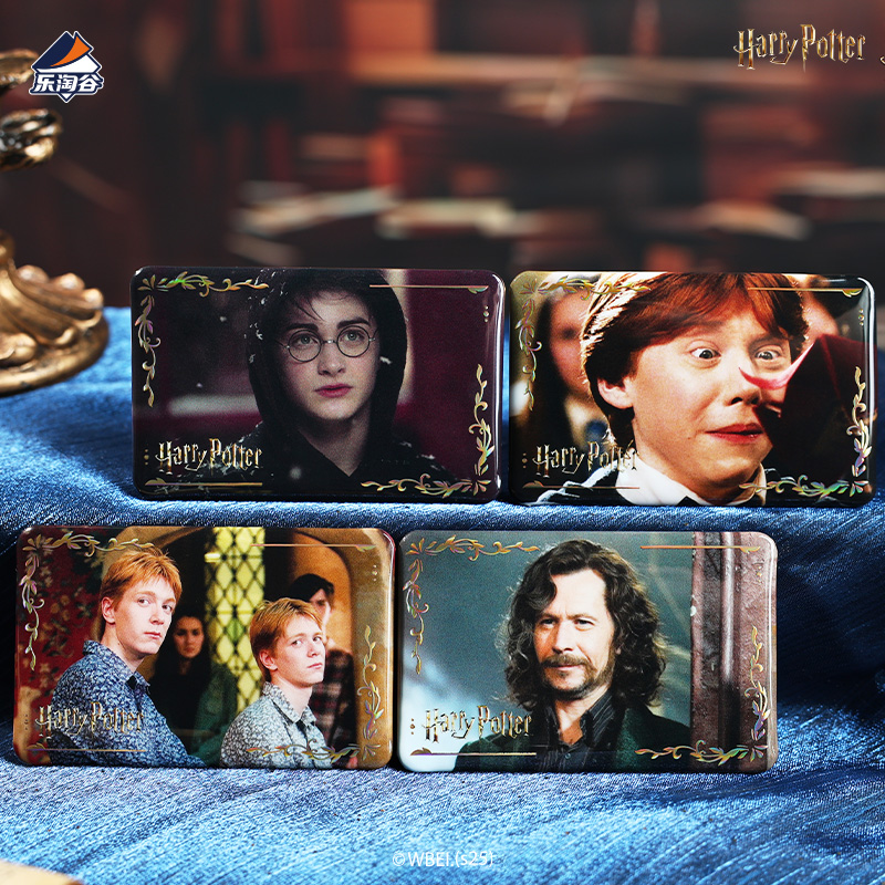 Harry Potter Magical Journey Series Character Badge Blind Bag Vol.2