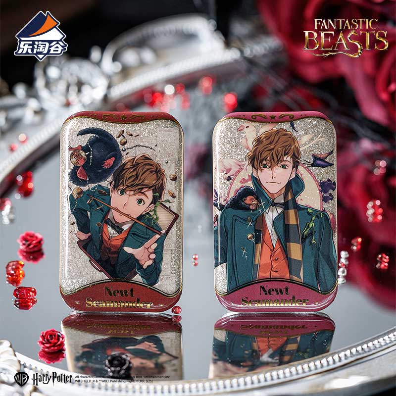 Fantastic Beasts Magical World Series Character Badge Blind Bag